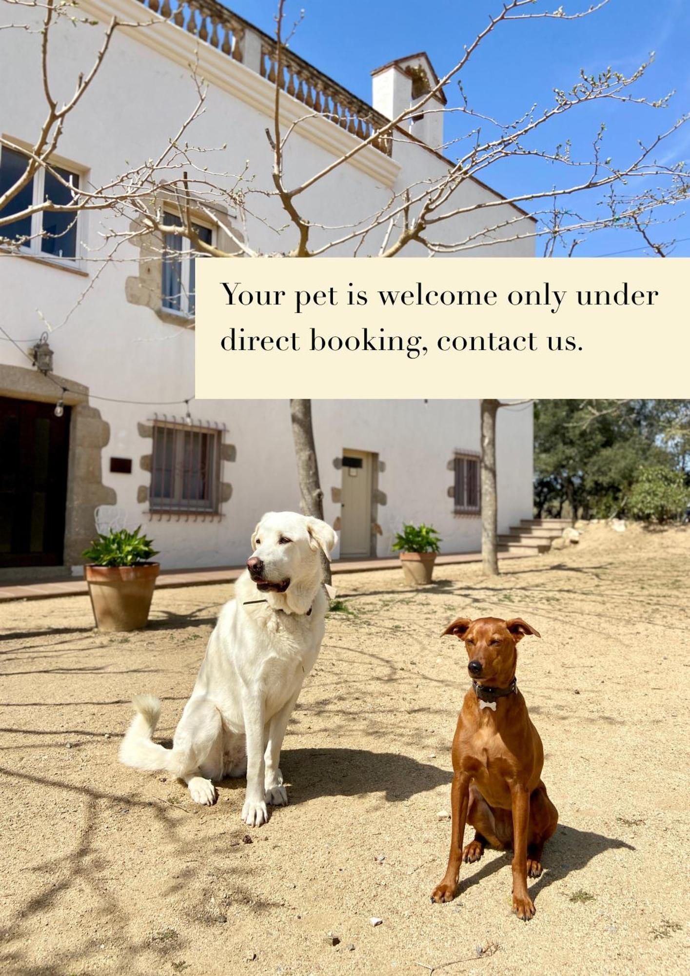 Ecoturisme Mas Ribas Hotell Palamós Exteriör bild