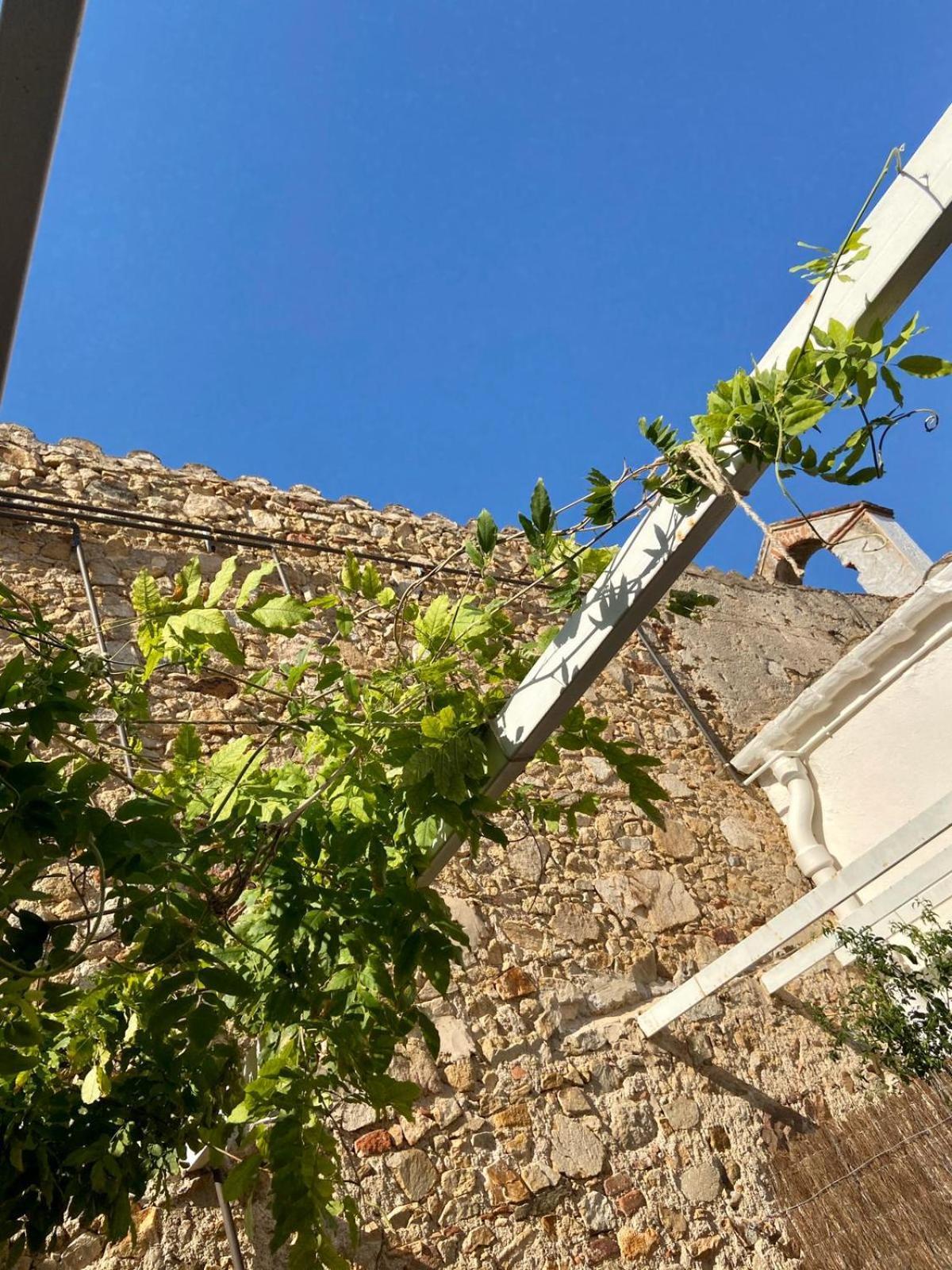 Ecoturisme Mas Ribas Hotell Palamós Exteriör bild