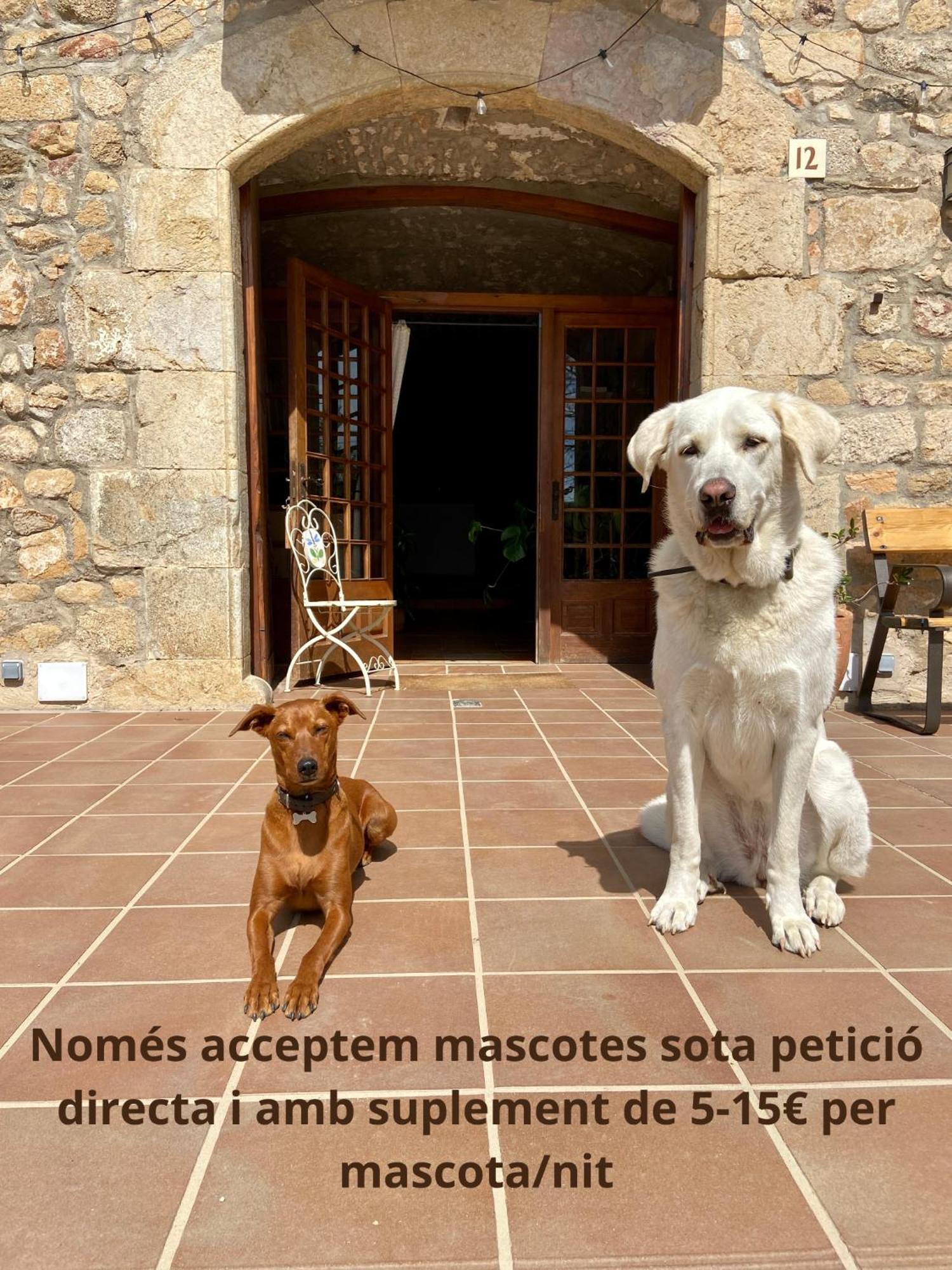 Ecoturisme Mas Ribas Hotell Palamós Exteriör bild